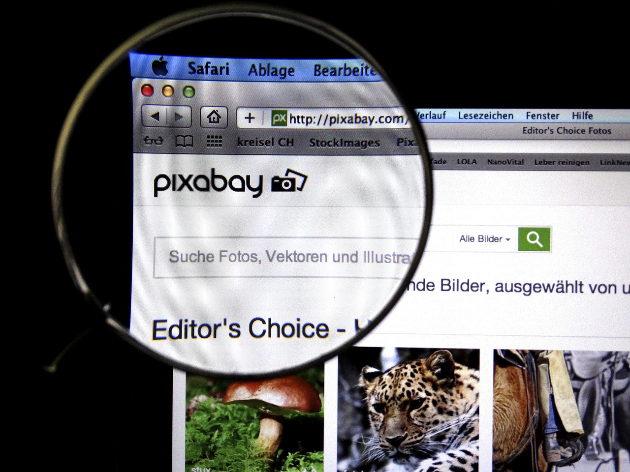 蓬莱网站建设价格优惠